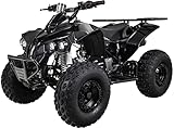 Actionbikes Motors Kinder Midiquad ATV S-10 125 cc - E-Start - Scheibenbremse hinten - Trommelbremsen vorne - Luftreifen (Schwarz)