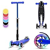 Fun Pro Two Roller, Scooter für Kinder, Dreirad-Kinderroller, Tretroller für Jungen & Mädchen, Kinderscooter mit LED-Räder, Mini Roller Höhenverstellbar & Klappbar, Roller für Kinder ab 5 Jahren