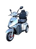 E- Rider TMM 3 Seniorenmobil Seniorenfahrzeug Dreirad Elektromobil 1000W Lithium Ionen Akku 3 Rad Farbe Silber