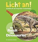 Im Reich der Dinosaurier: Licht an! (Licht an! Die Reihe mit der magischen Taschenlampe, Band 1)