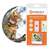 GPS-Tracker für Katzen – Weenect | Nr. 1 in Europa | GPS-Live-Tracking | Keine Entfernungsbegrenzung | Kleinster GPS Tracker auf dem Markt