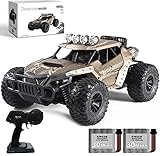 Ferngesteuertes Auto für Draußen,1/16 rc Auto ab 8 Jahren, 20+KM/H Monster Truck , Braunes Buggy Auto,Kinder Auto,Auto Spielzeug, 2 x Akku 70 Minuten Spielzeit, Spielgeschenk für Kinder,Rc Car