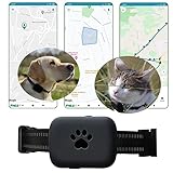 Fnd.U Guard GPS Tracker für Hund, Katze, Ortung, Peilsender mit App