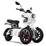 Doohan iTank eGo2 Elektromoped 1560W - 45km/h E-Moped Elektro-Trike 2 Personen 3-Rad-Elektromobil EU-Zulassung weiß